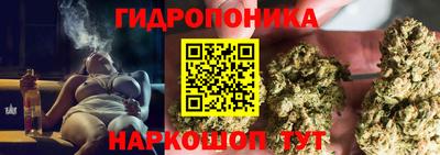 соль ск Ипатово