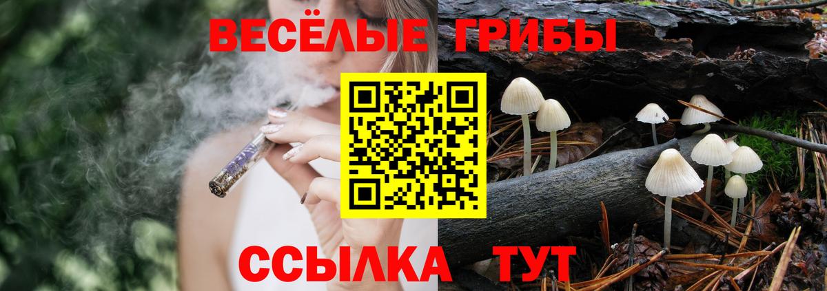 Находка  Галлюциногенные грибы мухоморы  Вход с VPN  Галлюциногенные грибы ЛСД 